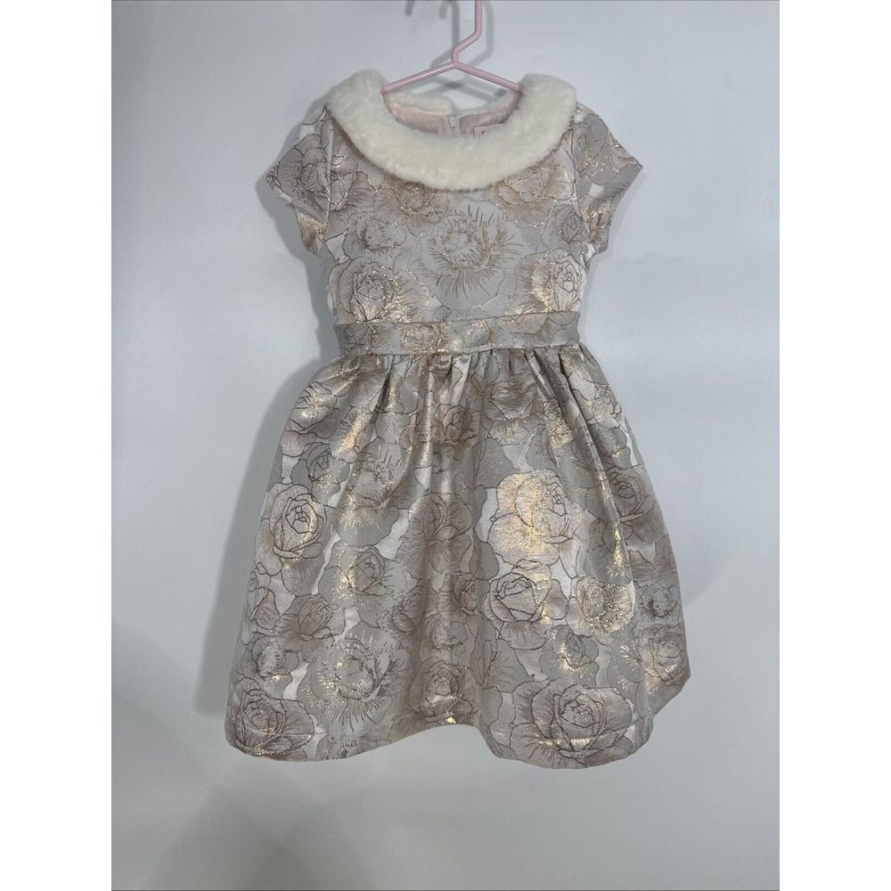 Biscotti Collezioni Girls Gold Silver Floral Brocade Faux Fur Collar Dress 6
